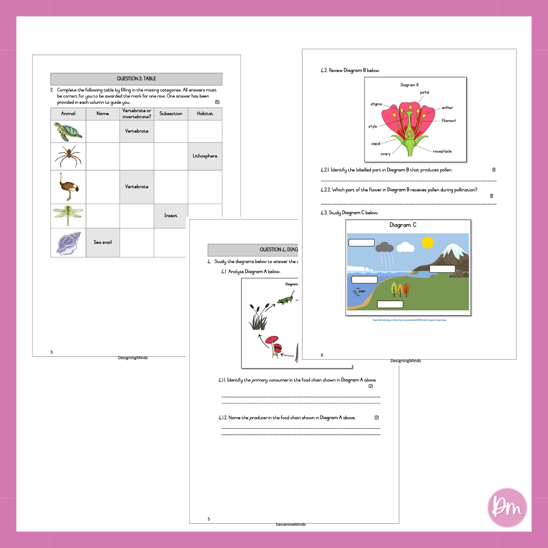 Grade 7 Natural Science Term 1 Test – Designing Minds