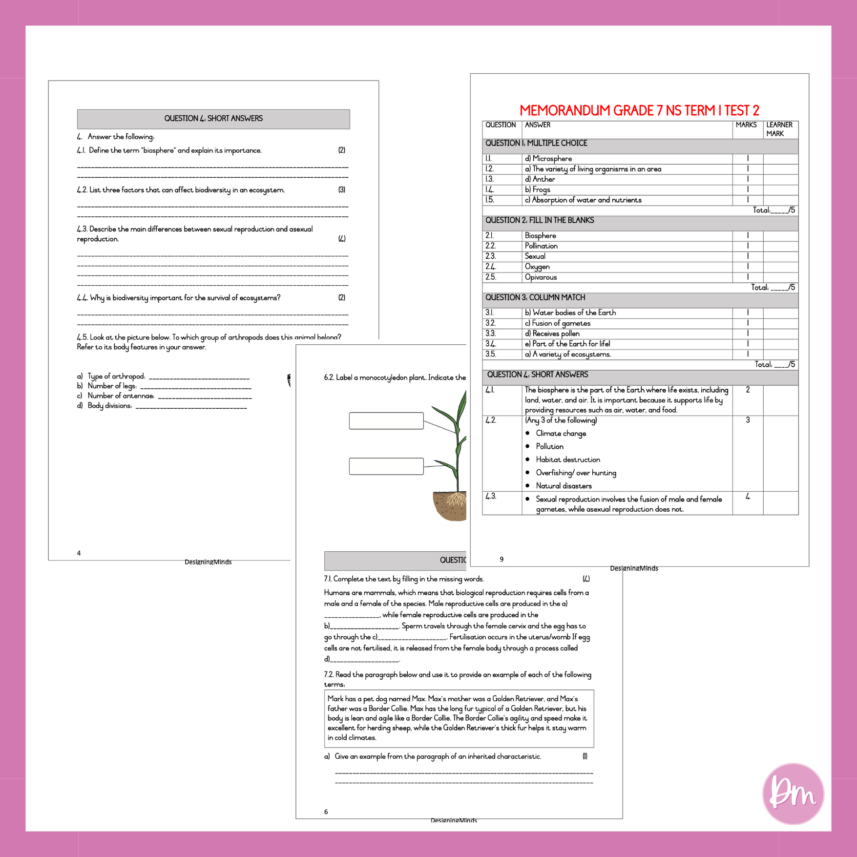 Grade 7 Natural Science Term 1 Test 2 – Designing Minds